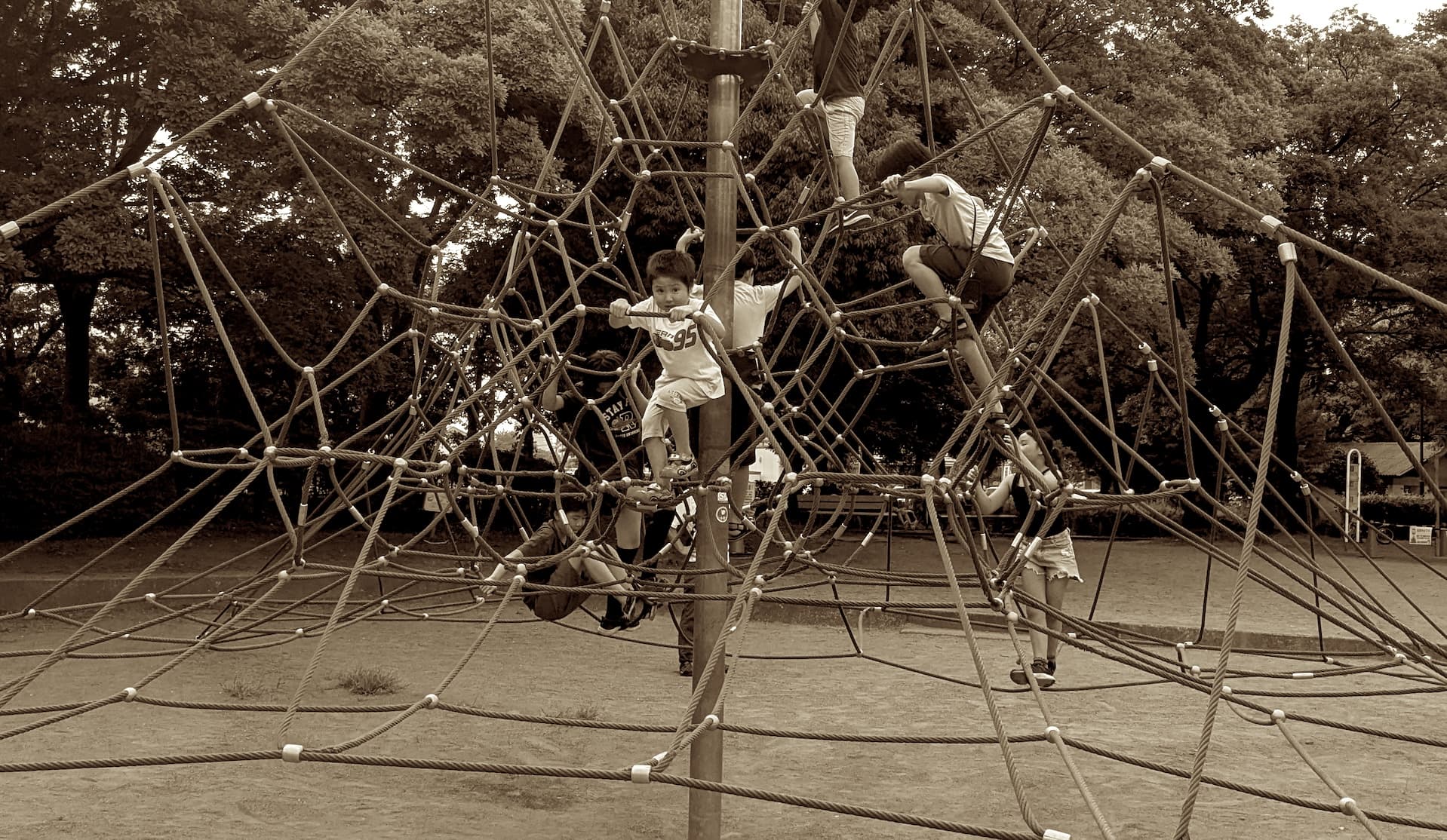 Cover Image for 組織構造を設計する